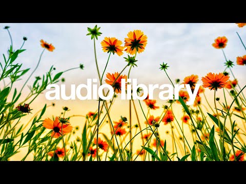 Dayspring – Firefl!es (No Copyright Music)
