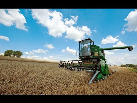 AGRICOLTURA: QUALE FUTURO NEL 2014? - Tv7 con Voi del 14.1.2014 (2 di 3)