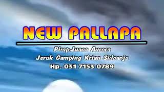 Download lagu Sholiq PALLAPA - Berkelana mp3 Download lagu Sholiq PALLAPA - Berkelana mp3