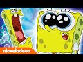 SpongeBob SquarePants | Gevonden voorwerpen | Nickelodeon Nederlands