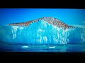 Happy Feet 2006 Take The Fish Scene