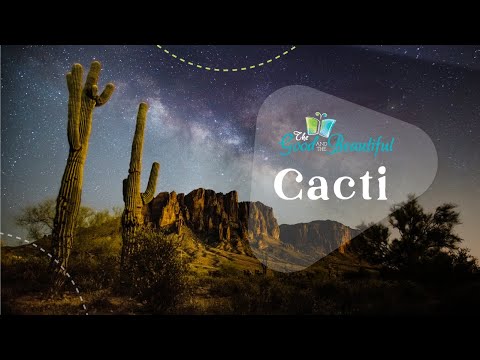 Cacti | Fun Facts About Cacti | Botany | The Good and the Beautiful
