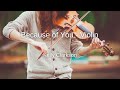 Kelly Clarkson Because Of You Violin Sheet Music
