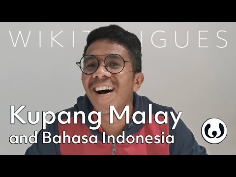 Kupang Malay, casually spoken | Engelbirth speaking Kupang and Bahasa Indonesia | Wikitongues
