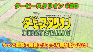 【ダービースタリオンSWITCH実況】#20　やっと重賞で勝負できそうな馬が出てきた！