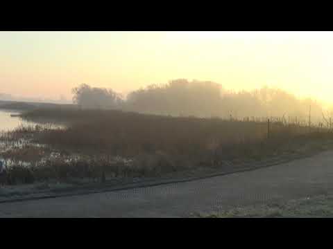 Op een zondagmorgen 17-12-2017. De Rijn bij het pontveer Opheusden.,bij hoogwater.(1)