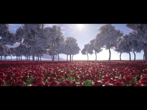 ROSE GARDEN | IDFX Animations | 2020
