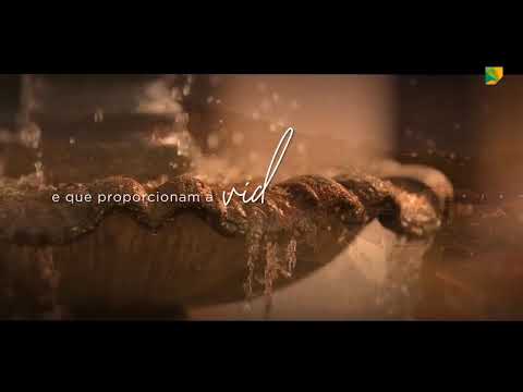 Tamboré Institucional