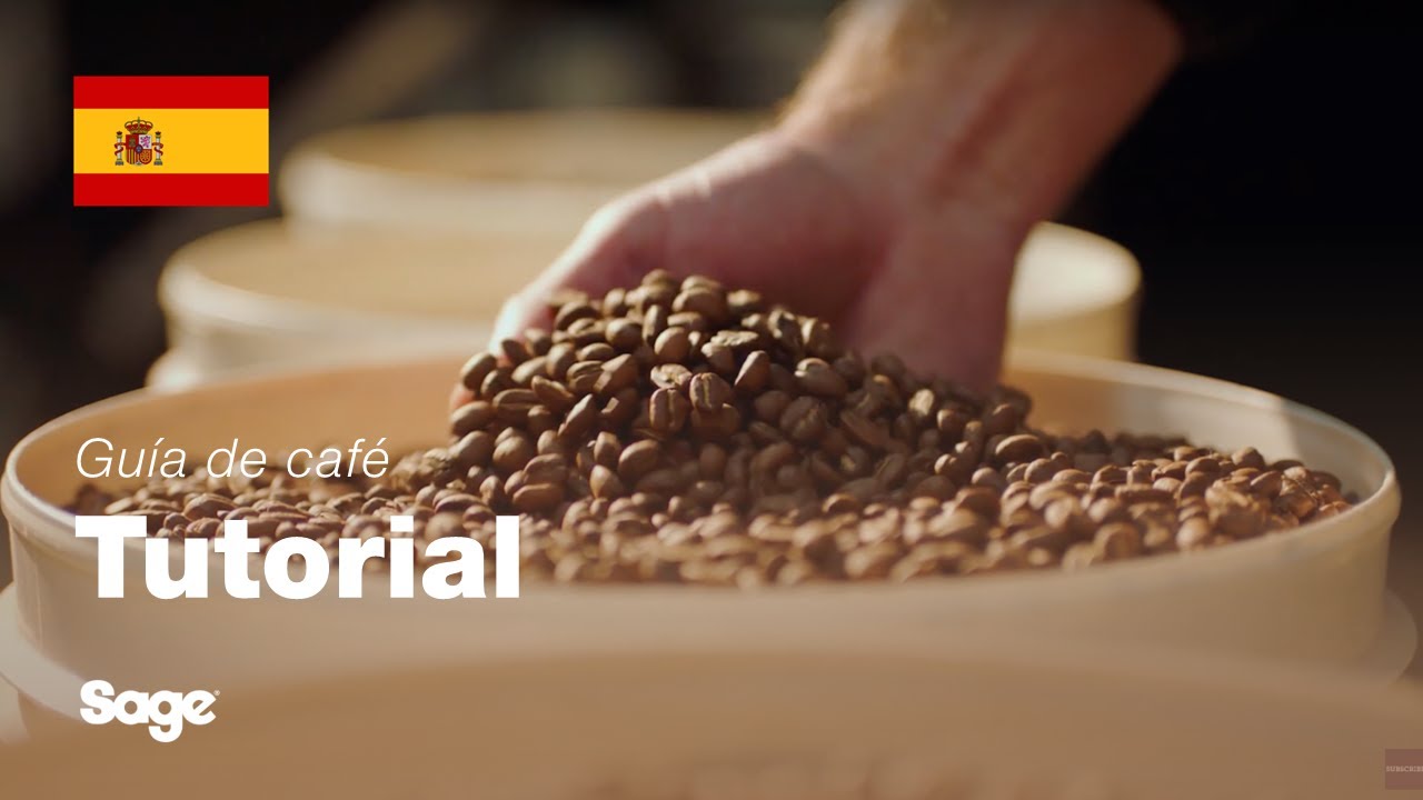 Tutorial de guía de café de Breville - Elegir los granos de café adecuados