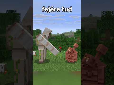 Az utolsó újdonságok is bekerültek! | Minecraft Snapshots