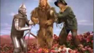 Stardeath And The White Dwarfs (ft. The Flaming Lips) - Time/Breathe (Pink Floyd cover)