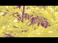 Mike Shannon - Beyond Incubation