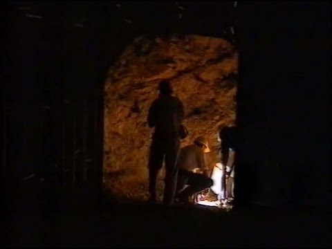 Tim Flannery and the quest for the living fossil