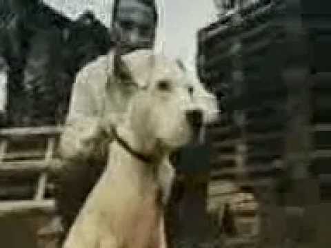 lyrical son - eskursioni