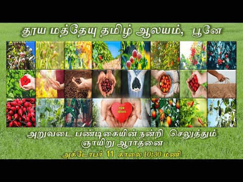 ST.MATTHEW'S TAMIL CHURCH PUNE | HARVEST FESTIVAL'S THANKSGIVING SUNDAY SERVICE | 11OCT'20 | 10-30AM