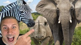 MOST INSANE AFRICAN ANIMAL ADVENTURE!! | BRIAN BARCZYK by Brian Barczyk