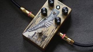 Video thumbnail for Walrus Audio - Warhorn by Dennis Kayzer