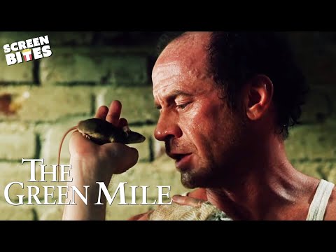 The Best of The Mouse On The Mile (Mr. Jingles) | The Green Mile (1999) | Screen Bites