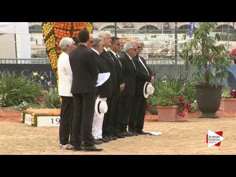 Menton 2016 - Opening (part 2)