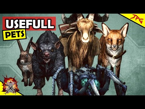 PETS OF SKYRIM! Guide To Best And Worst Pets! Fox, Bunny, Skeever, Goat And Frost Spider Pets!