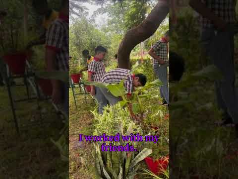 इको क्लब की गतिविधियाँ 2026