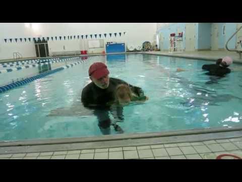 YY - Lesson 5 - K.I.S.S. Swim Lessons with Jeff Alpern