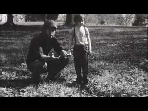 Matthew Mayfield - Now You're Free (Official Music Video)