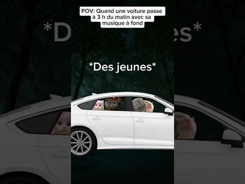 POV: Quand une voiture passe à 3 h du matin avec sa musique à fond #humour #drole #catmemes #pov