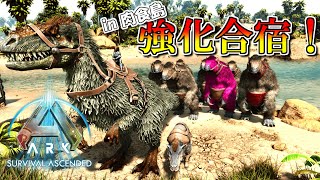 【ASA：The Island】【PS5】#15 ボス戦に向けて強化合宿 in 肉食島！【ARK Survival Ascended】