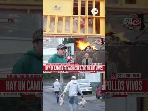 🔴 Granja Tres Arroyos: sigue el bloqueo y acampe en la planta de Pilar