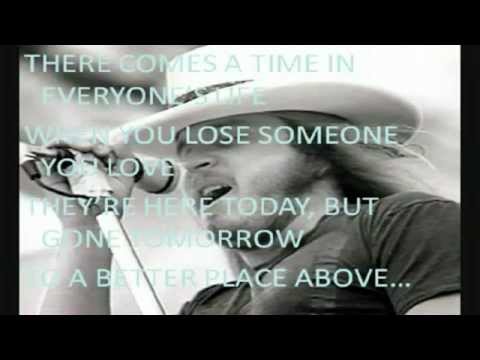 Jimmie Van Zant - Ronnie's Song