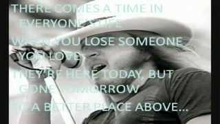 Jimmie Van Zant - Ronnie&#39;s Song