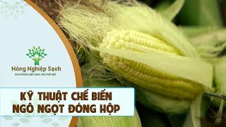 Thế nào được gọi là sản xuất nông nghiệp sạch?