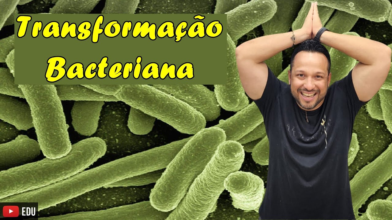 Transformação Bacteriana - Conceito e Processo - Reprodução Bacteriana - Microbiologia