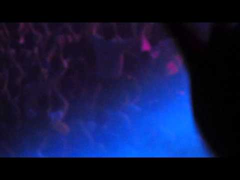 MaRLo - Visions LIVE #AOSOF, 07.02.2014