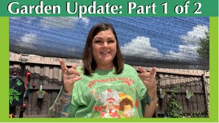 Garden Update: Part 1 of 2 // Catching you up to date