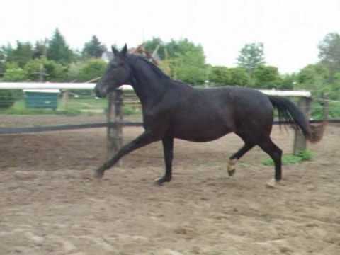 Samira B  - Zuchthof Bahnemann