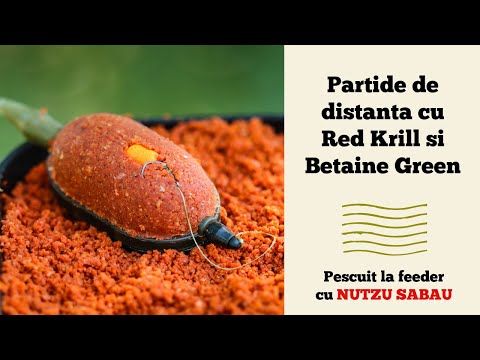 Partide de distanta cu Red Krill si Betaine Green