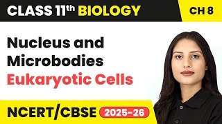 Nucleus and Microbodies - Eukaryotic Cells | Class 11 Biology Chapter 8 | CBSE 2024-25