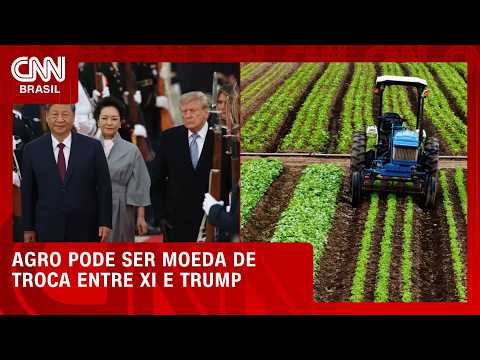 Xi e Trump: agro pode estar no centro das negociações | CNN AGRO NEWS