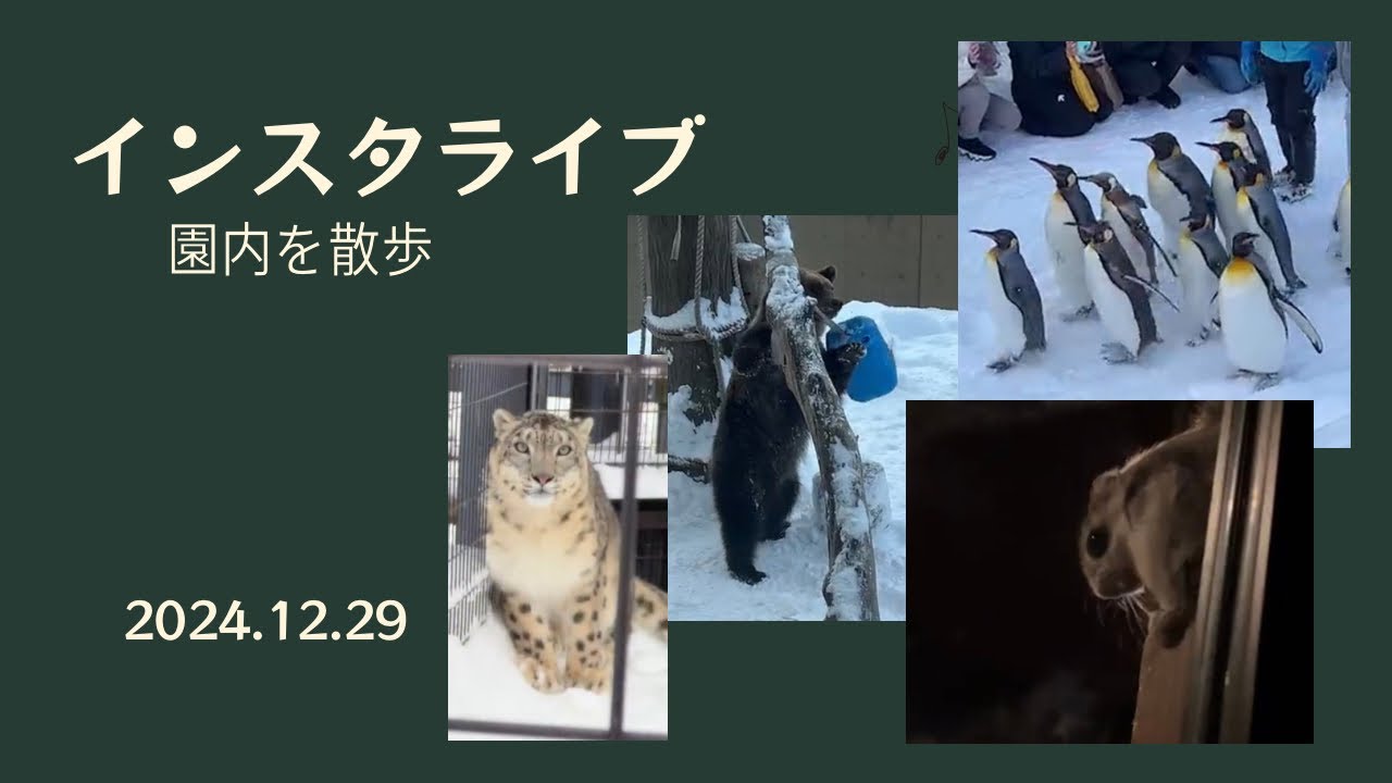 2024年12月29日 インスタライブ