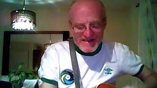 Echo &amp; The Bunnymen- Baby Rain //Cover