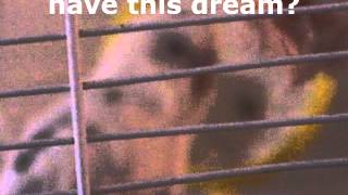 More Love -by Maylor the Budgie