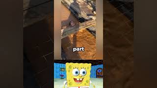 Download lagu SpongeBob Completes the TOUGHEST Military Training Ever! mp3 Download lagu SpongeBob Completes the TOUGHEST Military Training Ever! mp3
