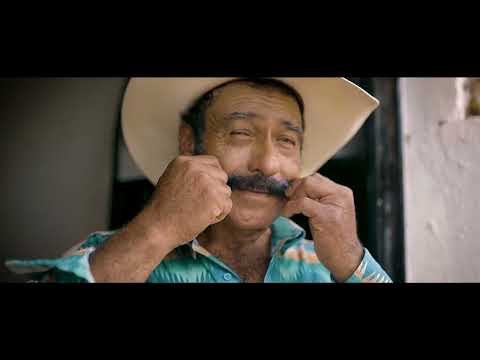 Rey Román - Beto El Periqueis (Video Oficial)