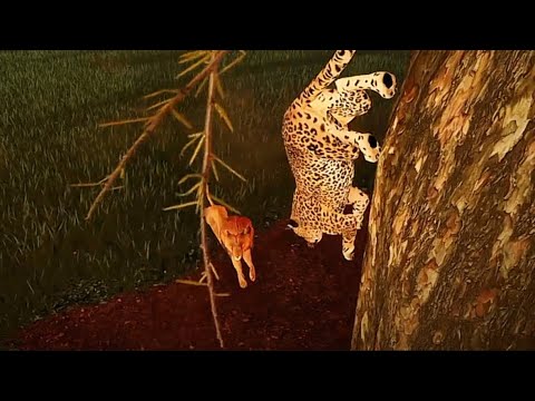 Leopard Vs Lion | Savannah Life Update|