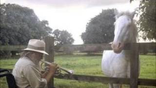 robert wyatt - i&#39;m a believer (slow version)