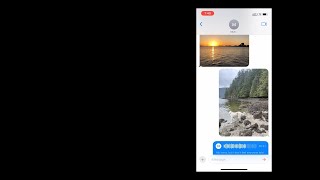Some Voice Memos To Mum - Molly Coulter