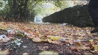 Seydişehir'e Mevsimin İlk Karı sarı yaprakların üstüne