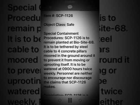 Scp 1126 Agent Palmer